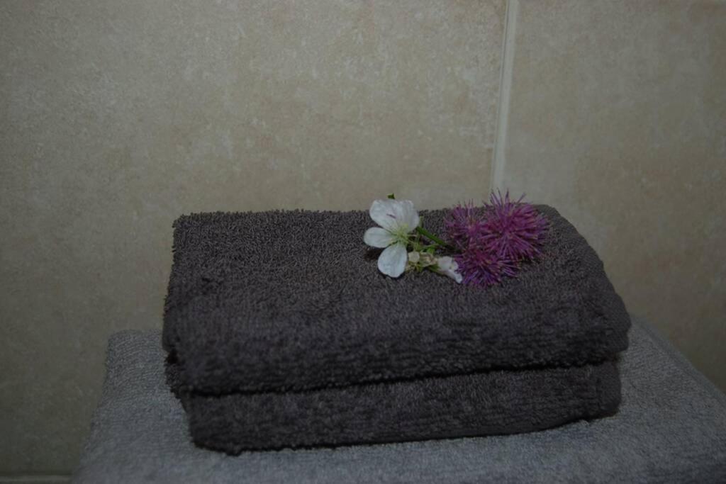 Creag Mhor Self Catering Holiday Apartment Aberfoyle  Dış mekan fotoğraf