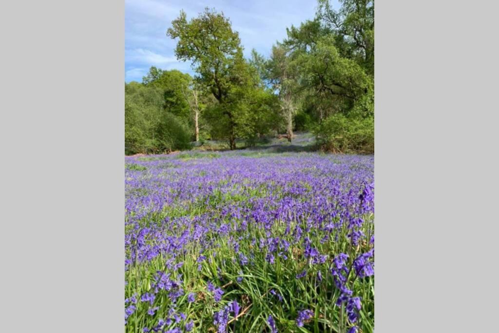 Creag Mhor Self Catering Holiday Apartment Aberfoyle  Dış mekan fotoğraf
